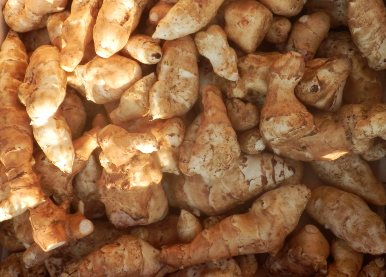 Topinambours en Vrac (1kg)